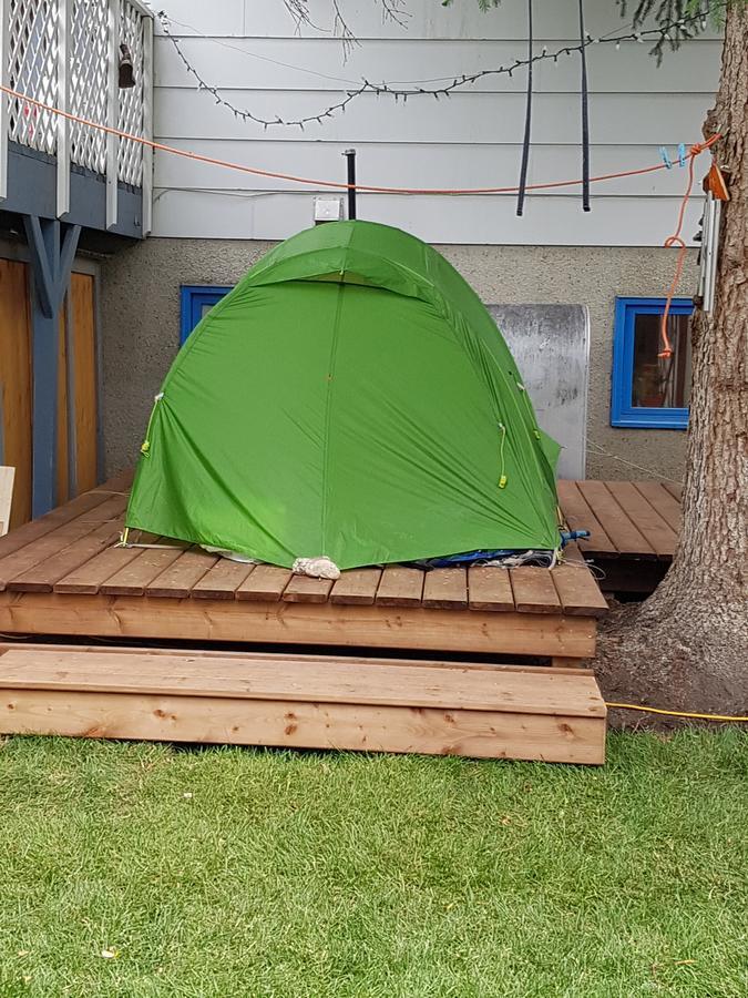 Beez Kneez Bakpakers Hostel Whitehorse Exterior photo